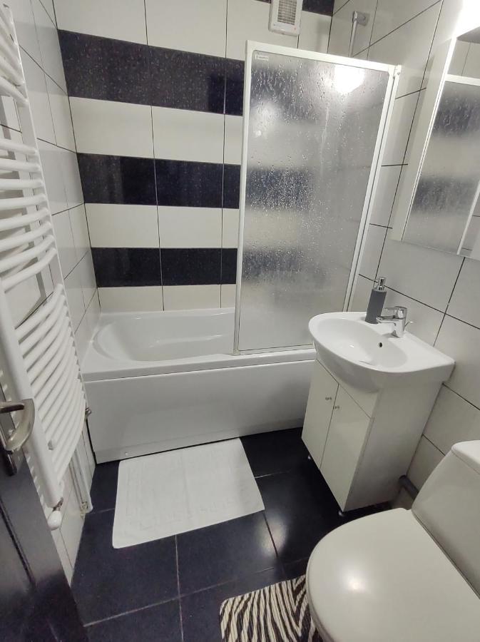 Creative Apartment Baia Mare Extérieur photo