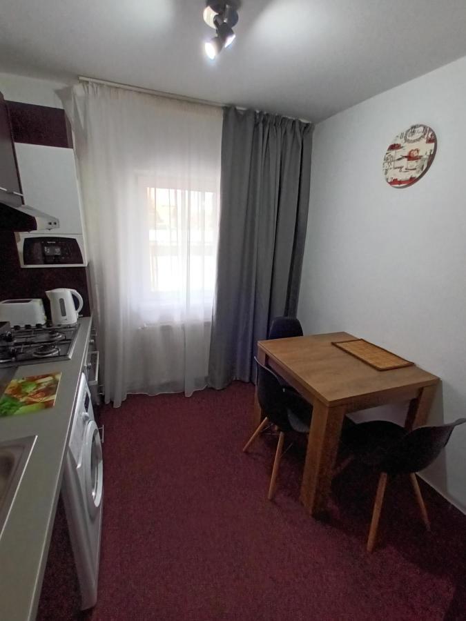 Creative Apartment Baia Mare Extérieur photo