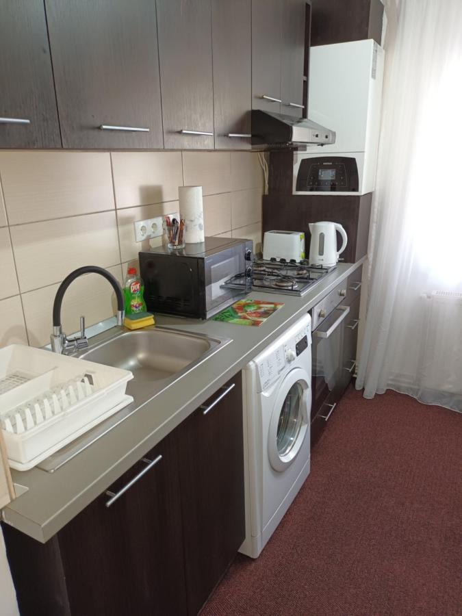 Creative Apartment Baia Mare Extérieur photo